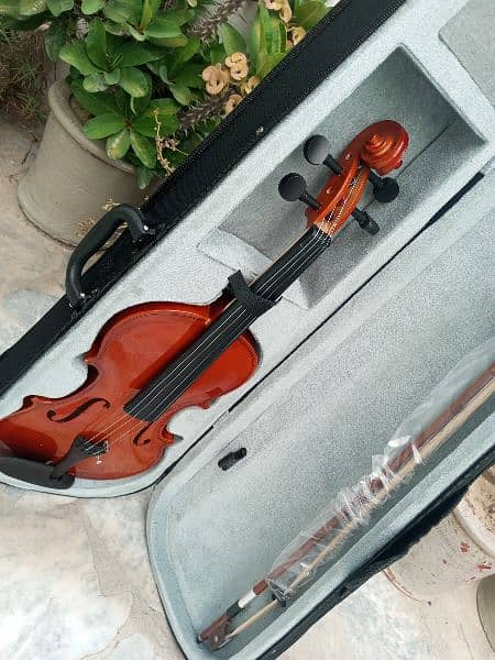 Brand Violin 3