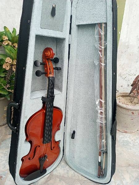 Brand Violin 4