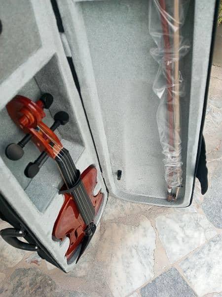 Brand Violin 5