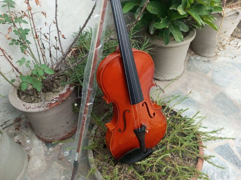 Brand Violin 8