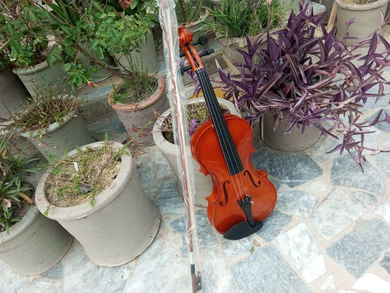 Brand Violin 10