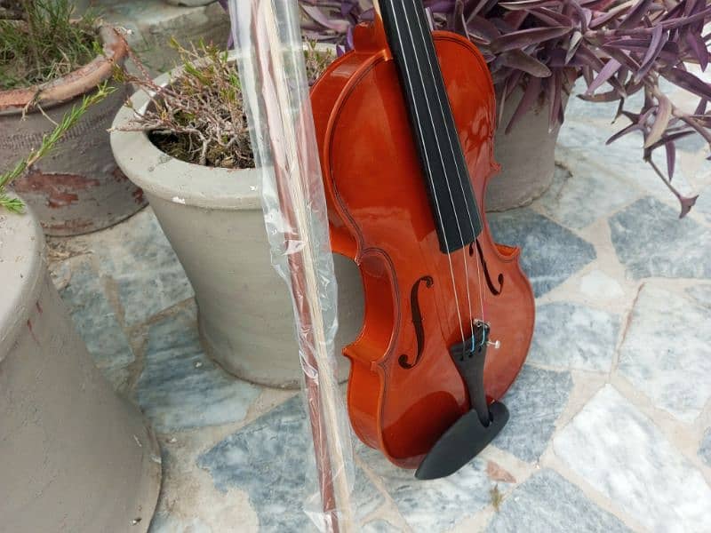 Brand Violin 11