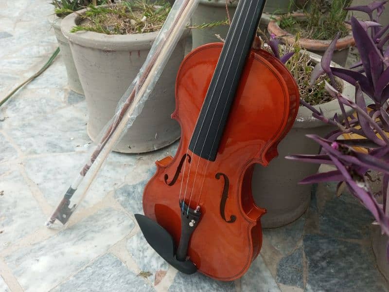 Brand Violin 12