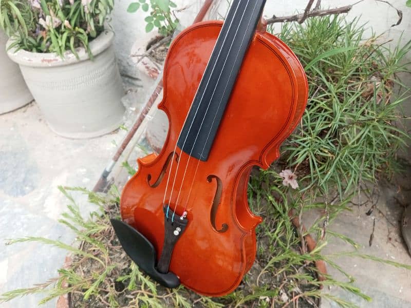 Brand Violin 19