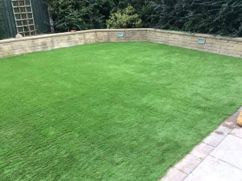 Synthetic AstroTurf/Artificial grass 3