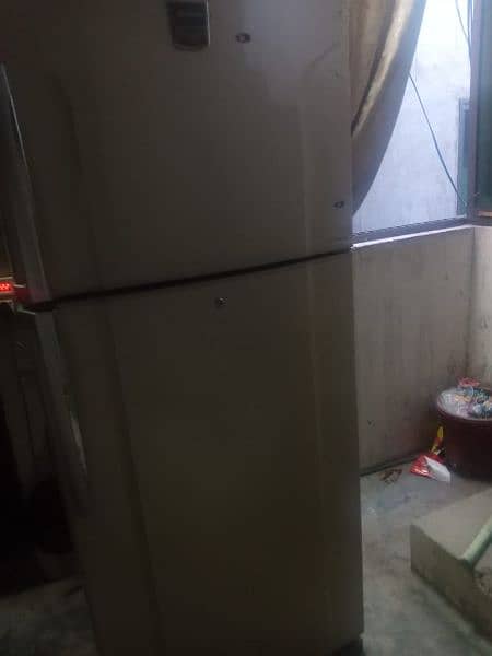 full size japaneese Toshiba fridge 2