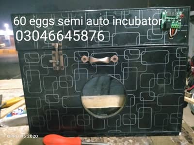 Egg incubator 0