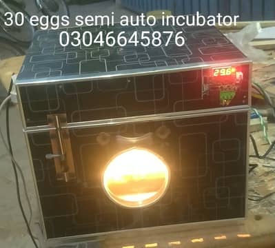 Egg incubator 4