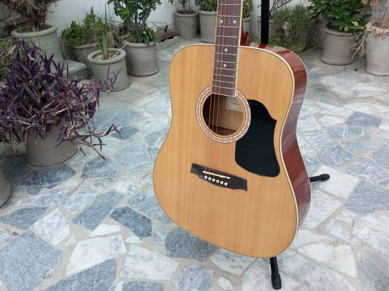 Brand New Acoustic Guitar 5
