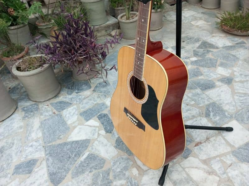Brand New Acoustic Guitar 6