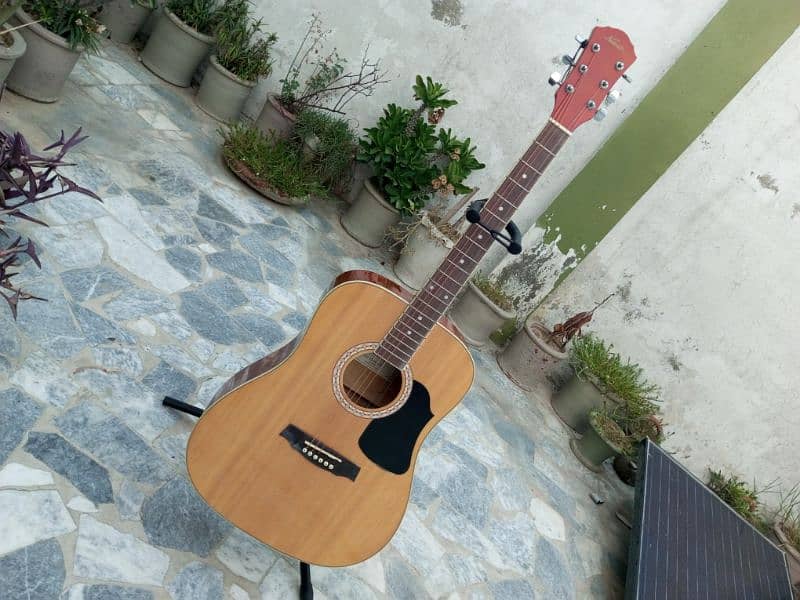 Brand New Acoustic Guitar 8