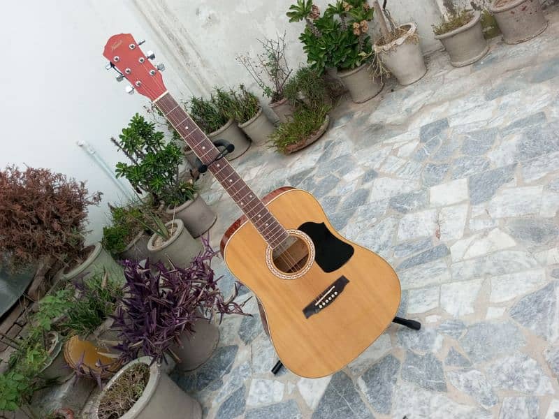 Brand New Acoustic Guitar 10