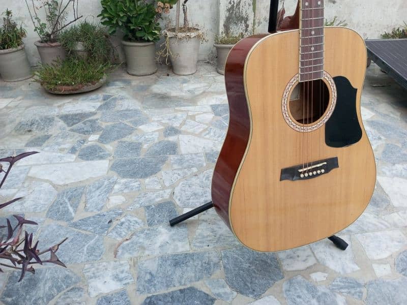 Brand New Acoustic Guitar 19