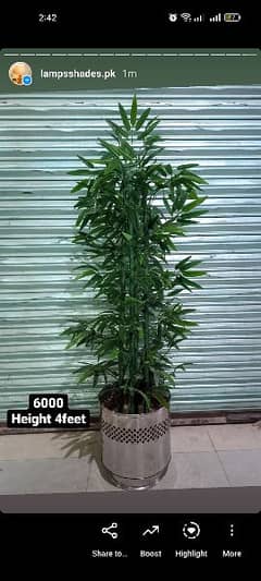 Artificial plants available here