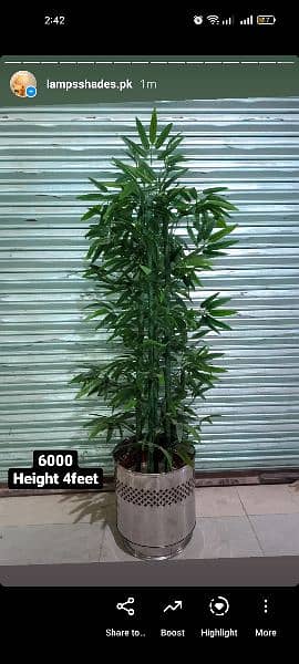 Artificial plants available here 0