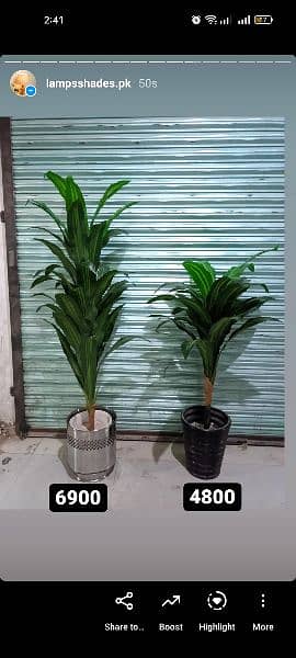 Artificial plants available here 5