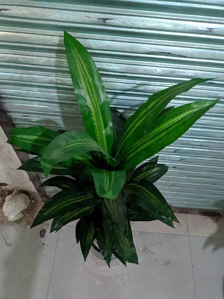 Artificial plants available here 6