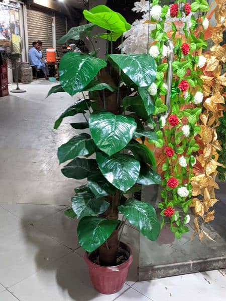 Artificial plants available here 8