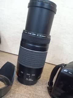 75 300 Lenses For Sale In Pakistan Olx Com Pk