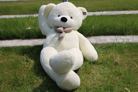 Teddy bear stuffed toy available for sale. 
teddy bears dolls 0