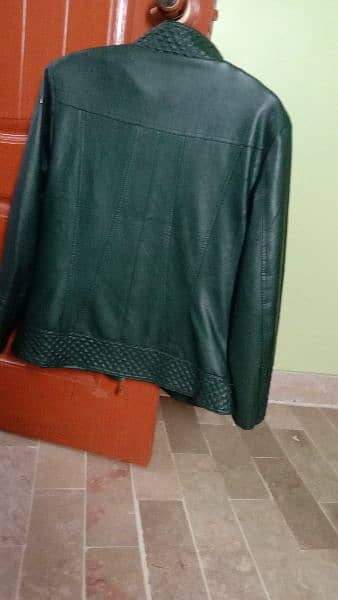 green leather stylish jacket for ladies 0