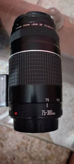 Canon 75 300 Lens Cameras Accessories For Sale In Pakistan Olx Com Pk