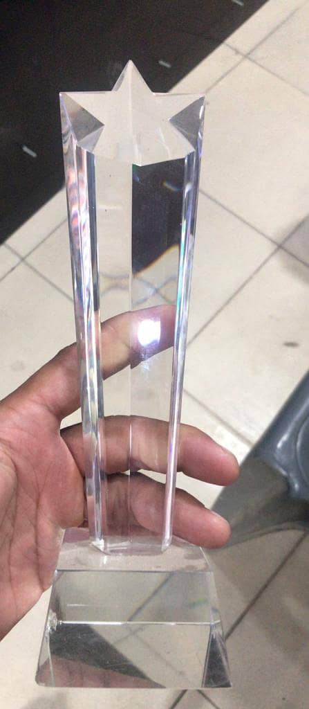 Award Trophy Shield Glass Shields for appreciation Trophy for sale 3