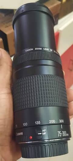 Canon 75 300mm Lens With Box Cameras Accessories