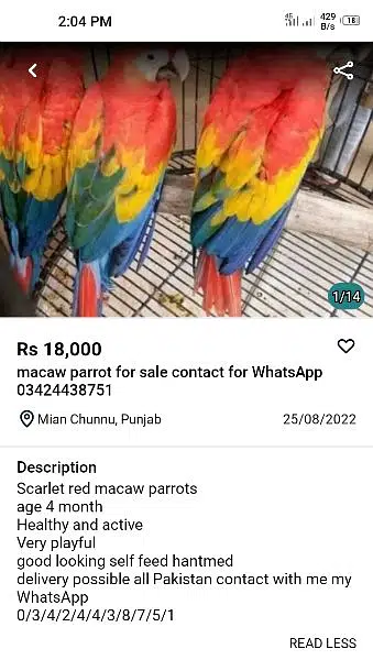 ye sab group wale fradie hai — photo 3