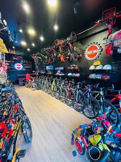 imported cycles online