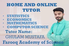 Home or online Tutor Mathematics,Statistics,Economics,Computer Science 0