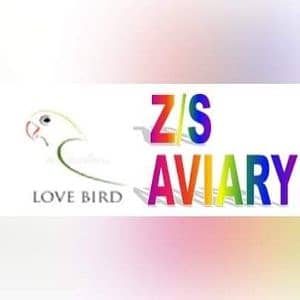 Z/S Aviary 17