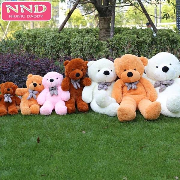 Teddy Bear all colour & sizes available 03008010073 1