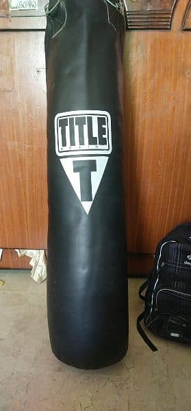 title punching bag for sale