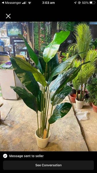 Artificial Plants Palm for offices and home 11