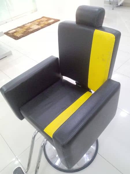 Beauty Parlour and Salon Chairs 10