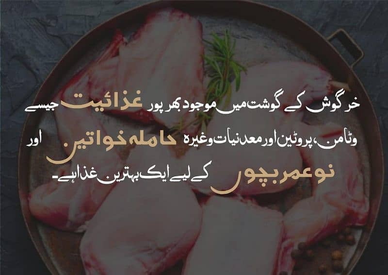 Rabbit meat 2000 rupees kg alive 9