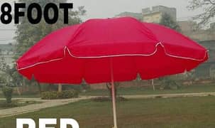 Chinese imported double rod umbrella