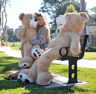 Amarican teddy bears