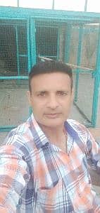 Pervaiz Aslam