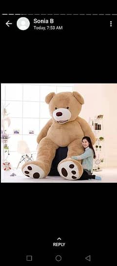 11 feet teddy bear available