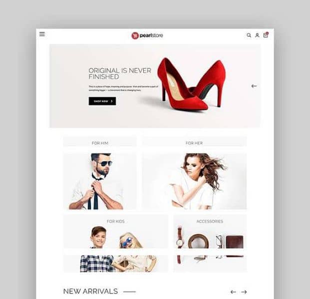 E Commerce WordPress & Shopify Website Development Service. 2