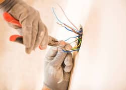electrition