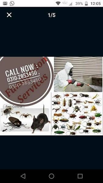 Fumigation Specialist