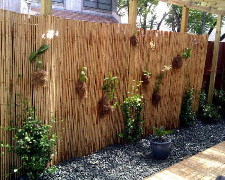 bamboo fence 14