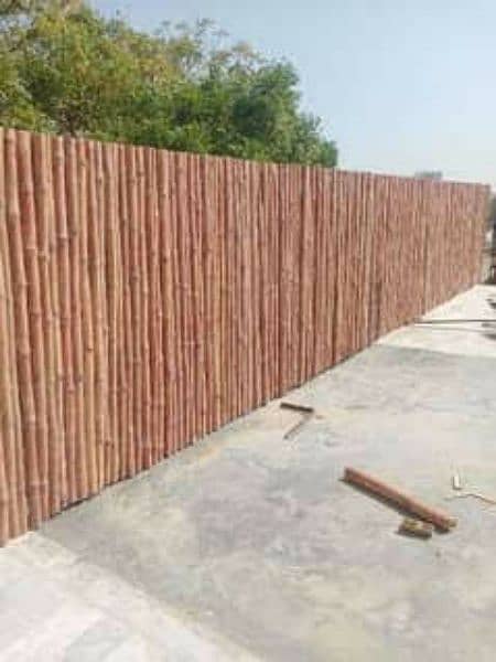 bamboo fence 16