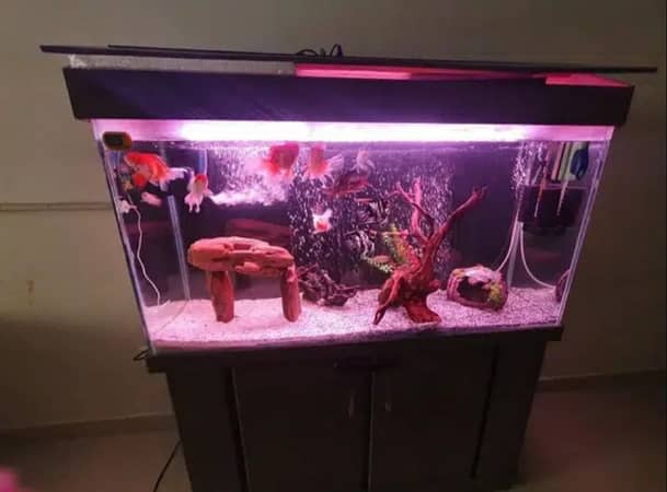 aquarium lights for sale