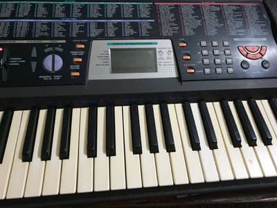 casio ctk501