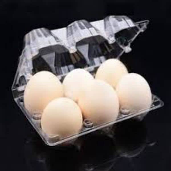 Plastic Egg Tray locks wali 2