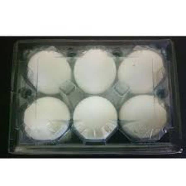 Plastic Egg Tray locks wali 7